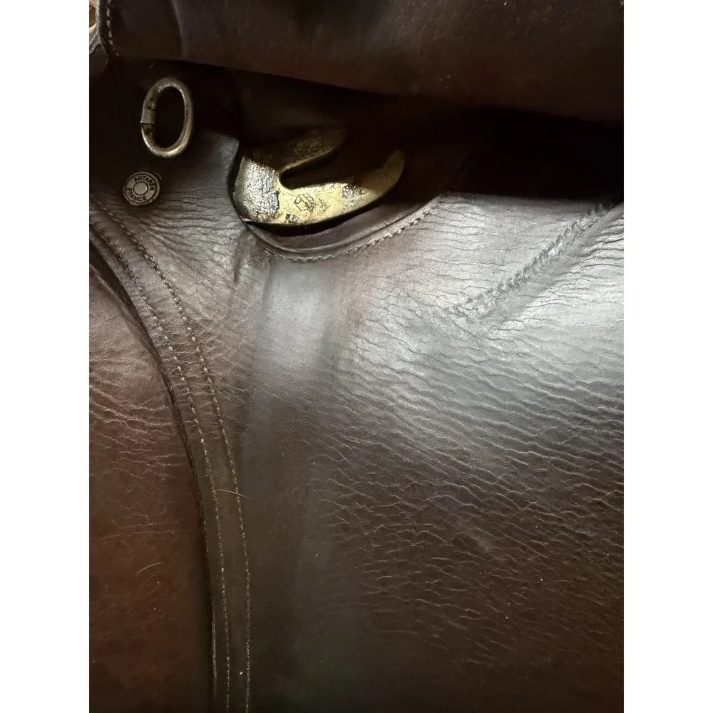 Antares Evolution Close Contact Jump Saddle 17